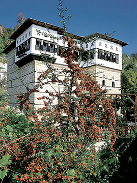 Vizitsa. The restored mansion, now a guesthouse, emerges imposing behind the wild flowers.
