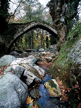 18th century arch bridge, above the road that connects Tsagkarada with Ksourihti and Milies.