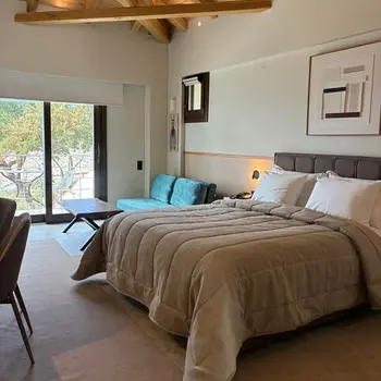 Design Suite with Panoramic View