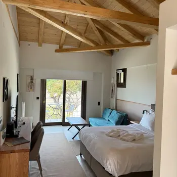 Design Suite with Panoramic View