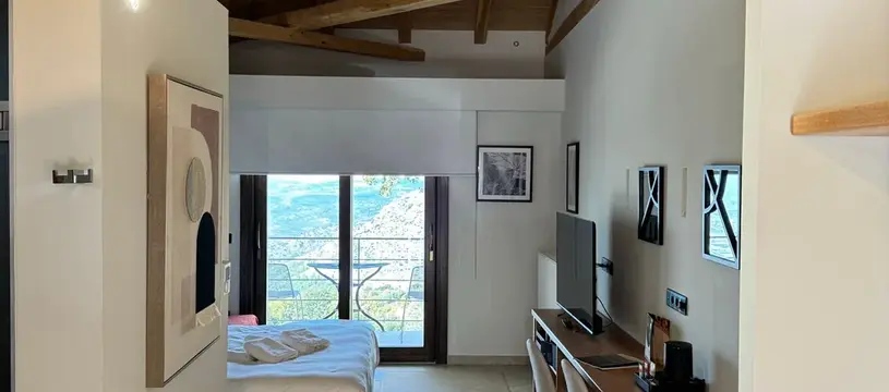 Design Suite with Panoramic View