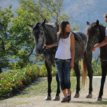 Horses
