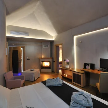 Room 204 - Elegant Suite with Fireplace & View