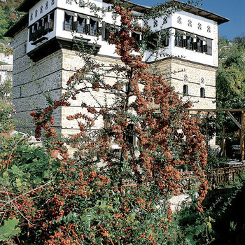 Vizitsa. The restored mansion, now a guesthouse, emerges imposing behind the wild flowers.